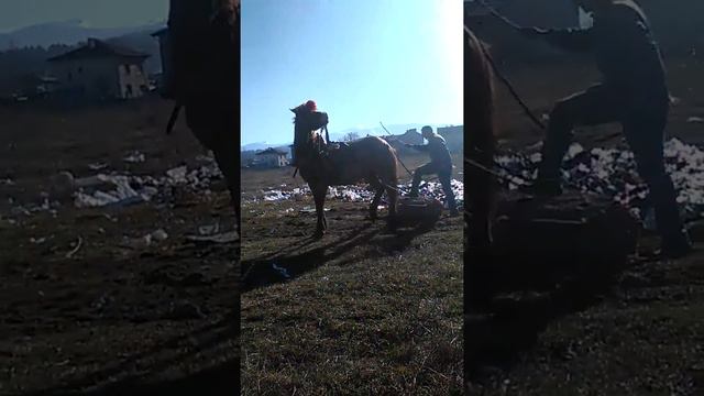 Ники с кон боклук от самоков смотреть онлайн