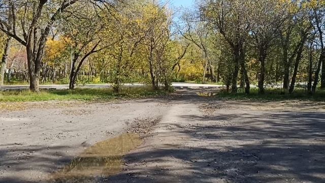 Брат, его жена и теща хотят продать мою квартиру. - Ты один, зачем тебе трехкомнатная смотреть онлайн