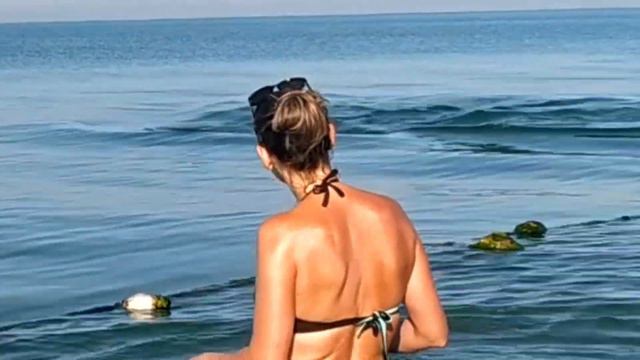 Дельфины в Анапе (Витязево) смотреть онлайн