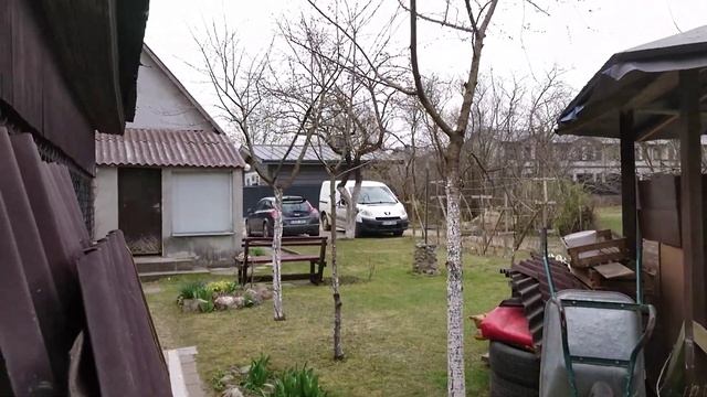 493. Пилим дрова. Терём хрен.