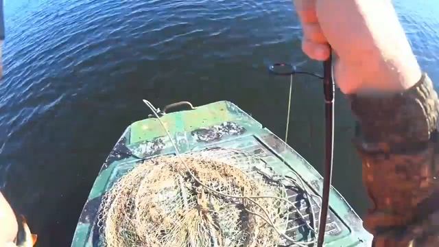 Озеро Светлое, Тюменская область смотреть онлайн