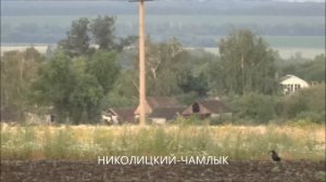 Окресности села Талицкий Чамлык.Липецкая область. Добринский район