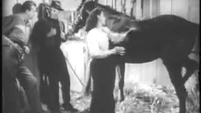 The Great Dan Patch смотреть онлайн