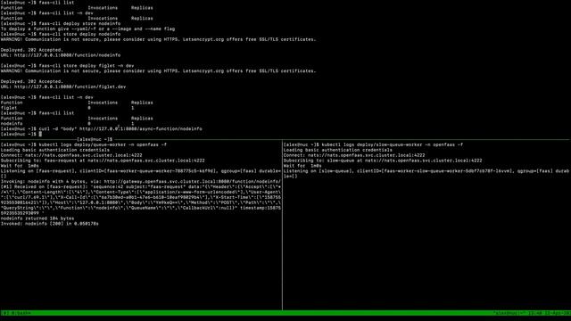 Invoking OpenFaaS functions on multiple NATS queues and namespaces смотреть онлайн