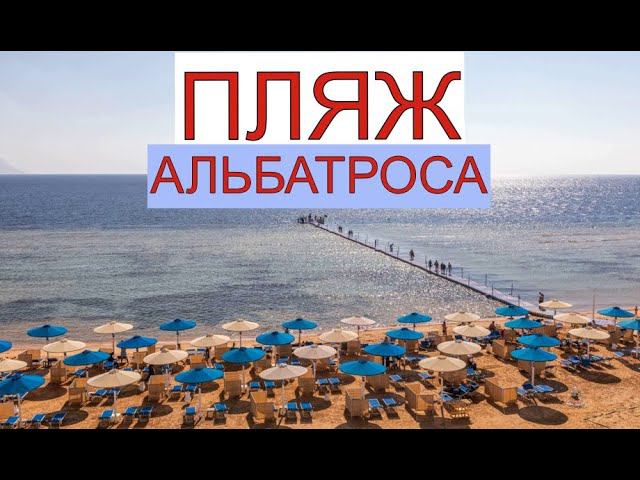 ALBATROS PALACE SHARM 5 . РЕКОМЕНДАЦИИ ПО ПЛЯЖУ ,ОЧЕНЬ ПОПУЛЯРНОГО ОТЕЛЯ. смотреть онлайн