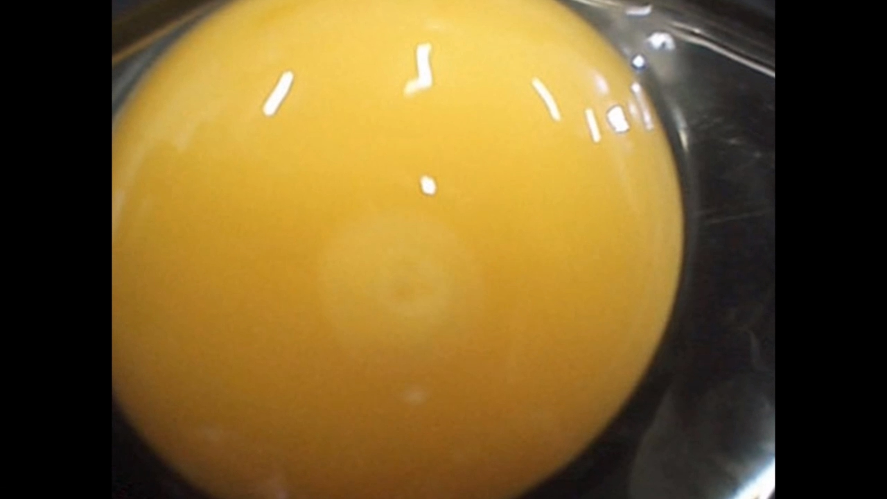 Увлекательный процесс развития цыплёнка в яйце смотреть онлайн