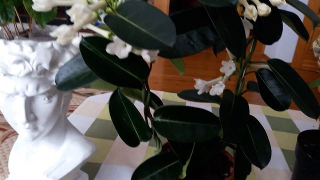 Мартовские новинки. смотреть онлайн