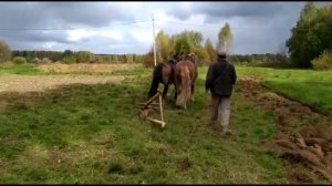 Осенняя вспашка на конной паре