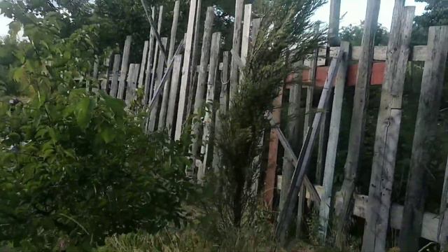 Возвращение блудного попугая. (Из Крыма). смотреть онлайн