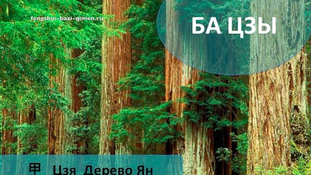 #44 甲, Цзя, Дерево Ян в Ба Цзы L Ба Цзы