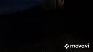 Снос старой голубятни. Бросаю держать голубей? (1 часть)