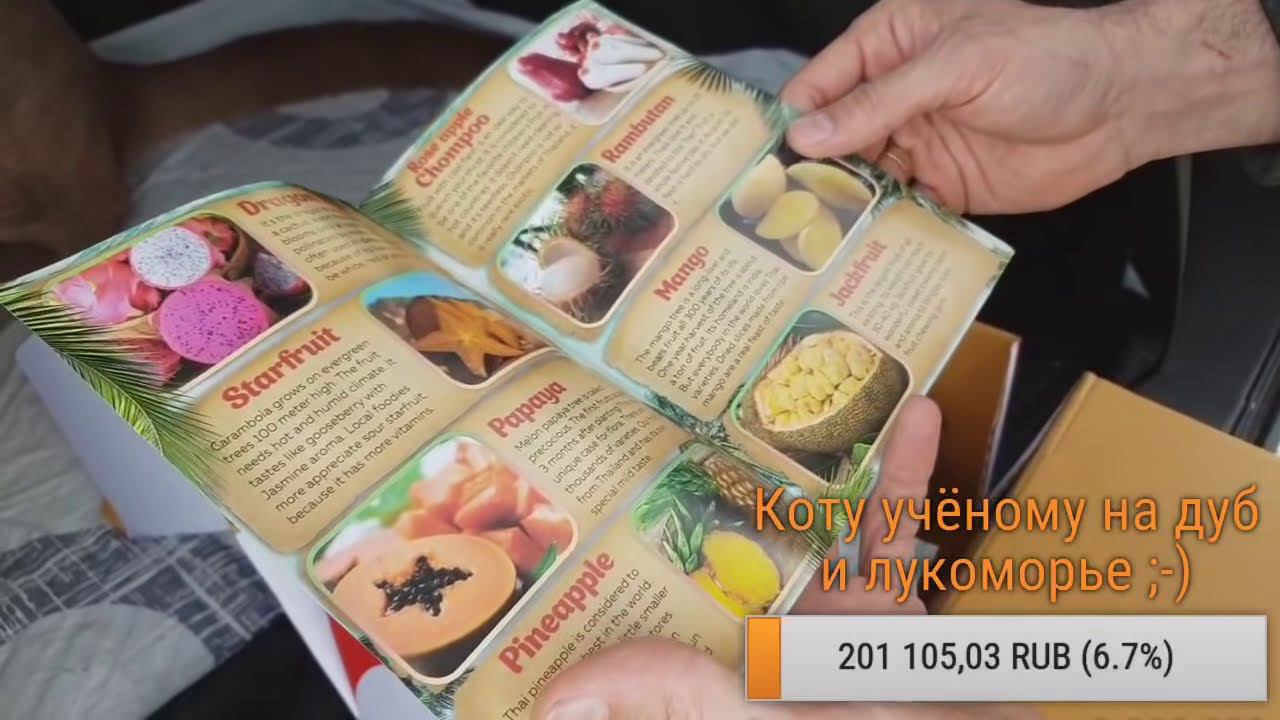 Прямой эфир. Прогулка и немного про Bobcat