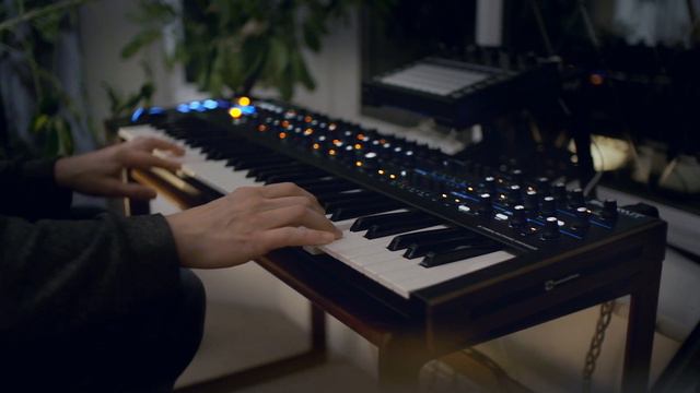 Novation Summit synth organ pads смотреть онлайн