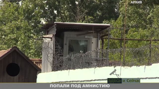 ПОПАЛИ ПОД АМНИСТИЮ смотреть онлайн