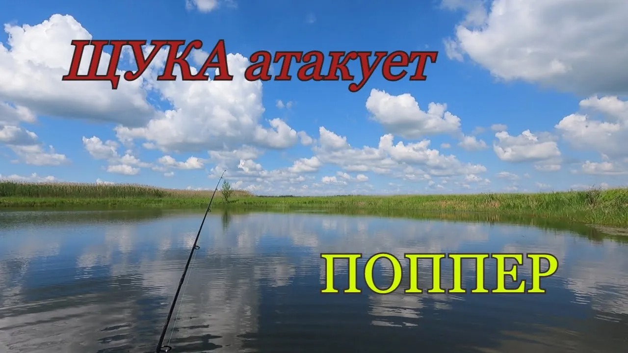 ЩУКА атакует поппер.Ловим щуку на красивом водоеме. смотреть онлайн