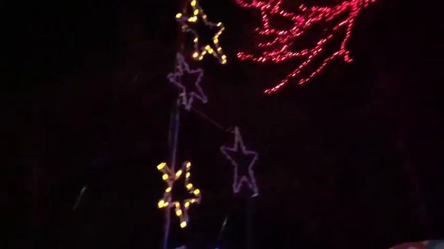 ZOO LIGHTS NATIONAL ZOO WASHINGTON DC смотреть онлайн