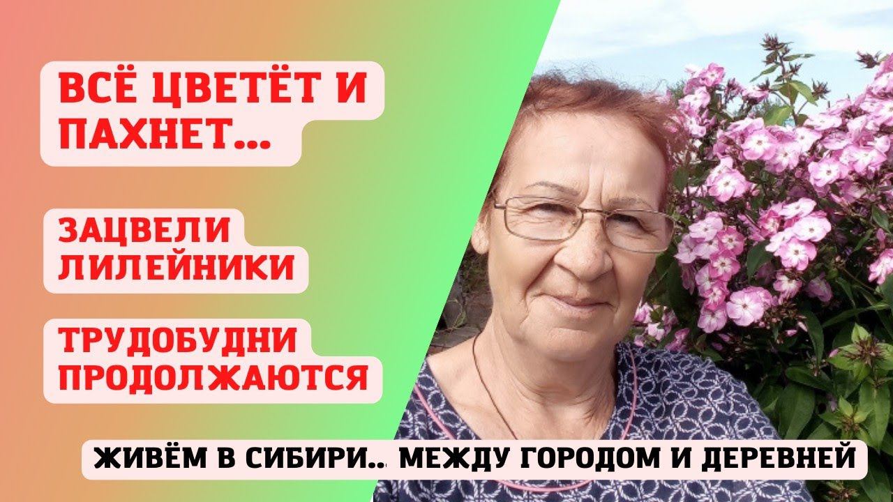 30.07.2022 Все цветет и пахнет! Зацвели лилейники. Трудобудни продолжаются