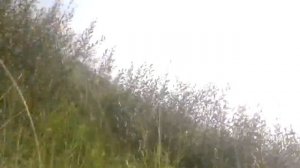 ЛОВЛЯ НА ЭКРАНЫ 3.с берега.fishing screens