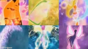 Все Превращения Винкс