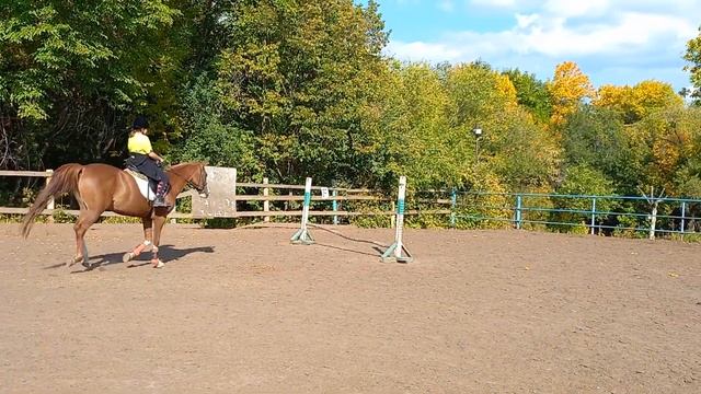 Loveeee❤️ никогда не забуду парк! он у меня в самом сердечке ?❤️?