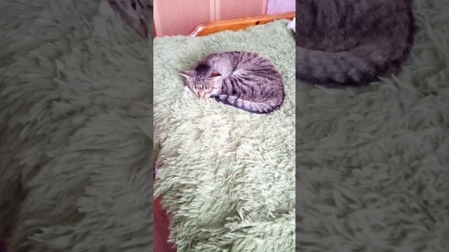 25 ноября 2023 г. смотреть онлайн