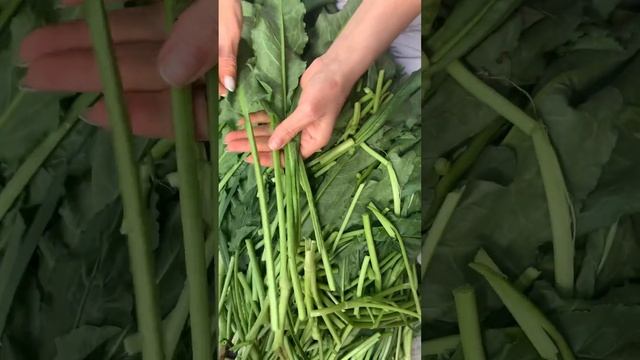 Авелук или конский щавель❤️? смотреть онлайн