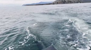 Рыбалка на палтуса в Магадане Halibut fishing in Okhotsk sea