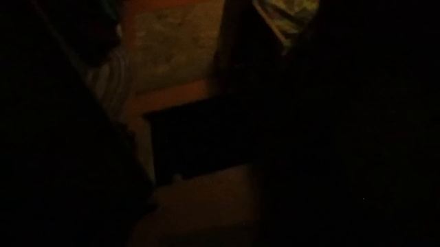 ДЕМОН ПРЕВРАТИЛСЯ В КОТА / УСТАНОВИЛ КАМЕРЫ В ДОМЕ С ПАРАНОРМАЛЬНЫМИ ЯВЛЕНИЯМИ смотреть онлайн