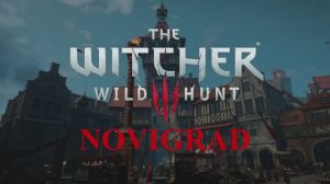 Novigrad - Witcher 3 - Emotional Music & Ambience