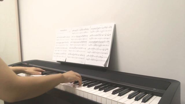 Nothing Better - 브라운 아이드 소울(브아솔 Brown Eyed Soul) 피아노 연주(Piano cover 피아노 커버) смотреть онлайн