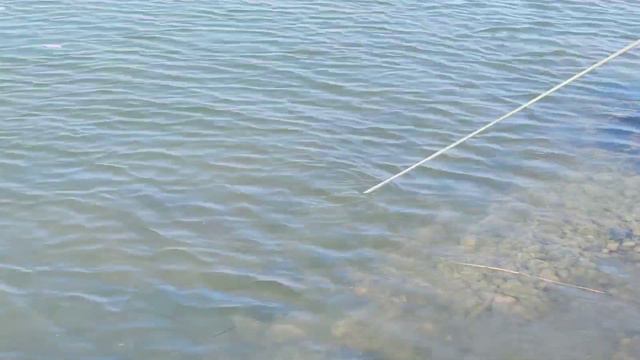 Красота природы и поисковый магнит. Поход № 50 смотреть онлайн