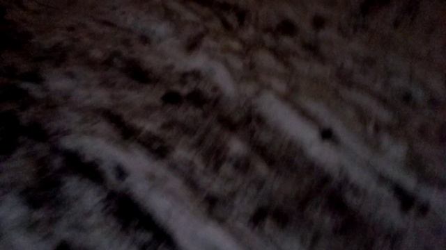 Катание на санках ночью в балке 20. 11. 23 (1) смотреть онлайн