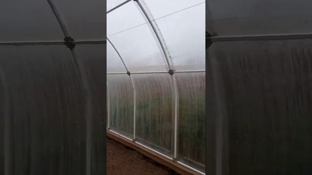 моя новая дача смотреть онлайн