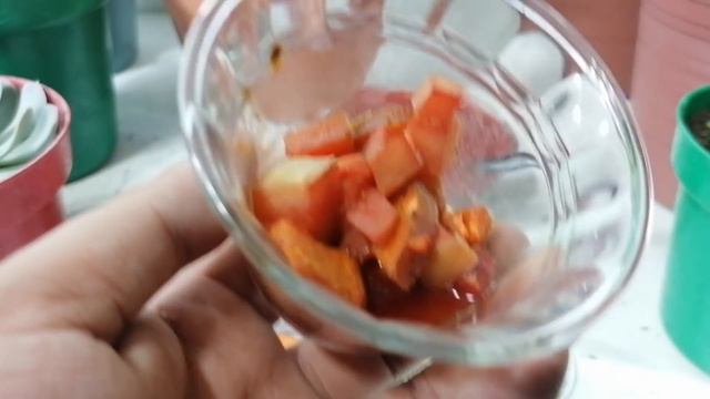 suculentas crecen rapido y grandes con este remedio organico donsuculento смотреть онлайн