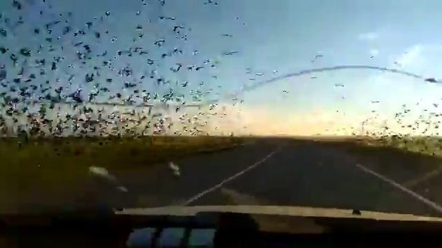 Краснодар ский край.Кореновск. 24.10.20 г. Что это было? смотреть онлайн