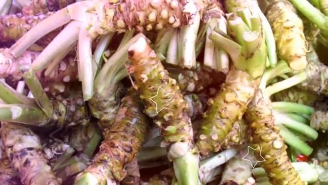 ВАСАБИ ПОЛЬЗА | японская приправа васаби для похудения, корень васаби,