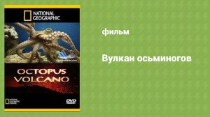 Вулкан осьминогов (документальный фильм, 2007)