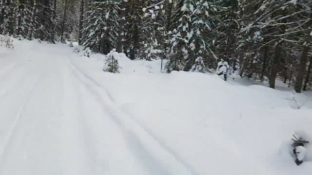 Мы поедем, мы помчимся на ..... собаках! смотреть онлайн