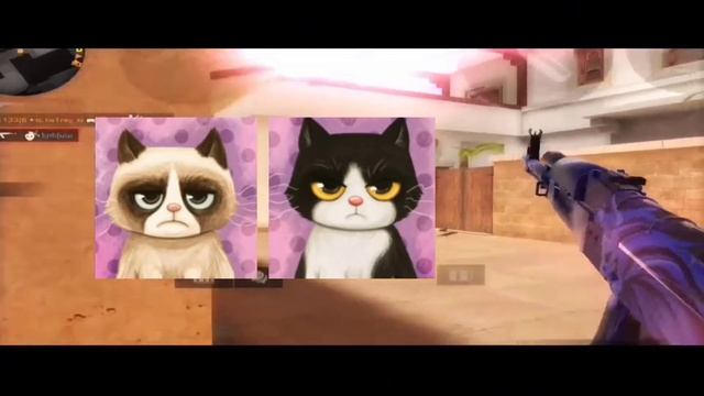 парные аватарки для стандофф 2 5часть Аватарки для союзников в стандофф 2 смотреть онлайн