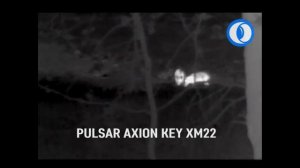 Pulsar Axion Key XM22