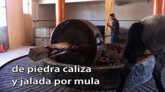 La molienda de agave del mezcal Buena vida смотреть онлайн