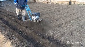 посадка картошки культиватором
