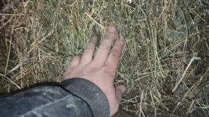 Измельчитель сена. Сенорезка 4 киловатта.