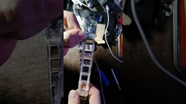 Чётки Паук Побегушник смотреть онлайн