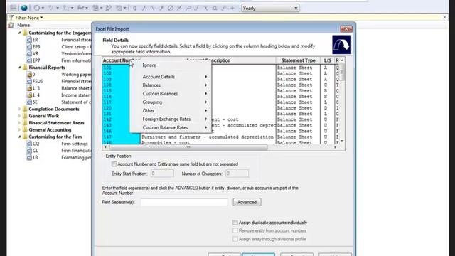 Working Papers: Importing Microsoft Excel™ Files смотреть онлайн