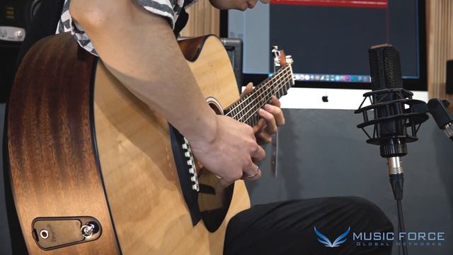 Martin Road Series GPC-13E / GPC-11E Demo ('Last Carnival' Covered by 'AcouBeach') смотреть онлайн
