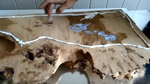 Столярка.  Подготовка стола из капа и дуба к заливке эпоксидной смолой. Первый день.