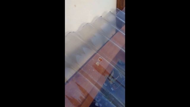 Прозрачная крыша для террасы Salux