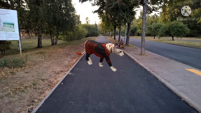 {клип вилд крафт}°я влюбилась в друга°{клип вилд крафт} смотреть онлайн