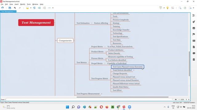 What is Test Management? (Software Testing Interview Question #77) смотреть онлайн